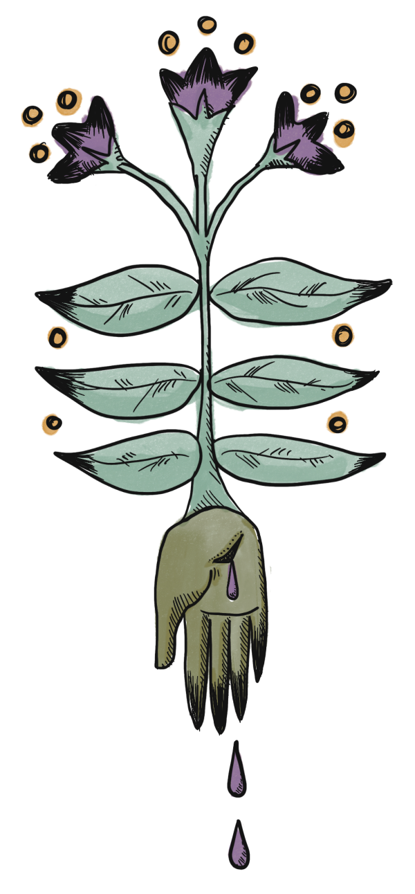 forest creature in a pond