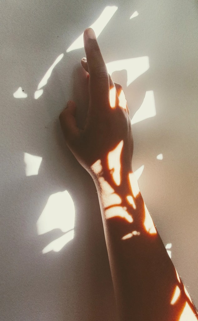 hand in plant shadows